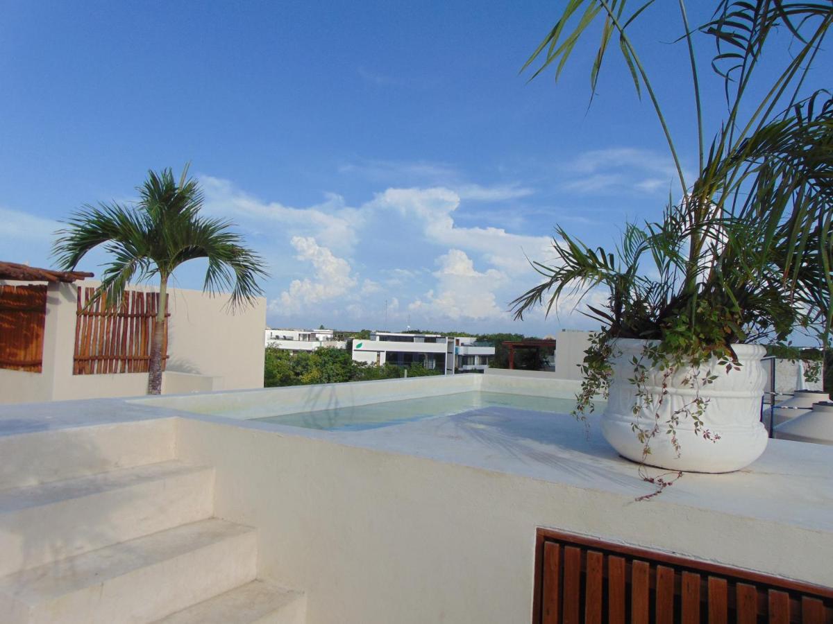 Azul Maya Apartamento
